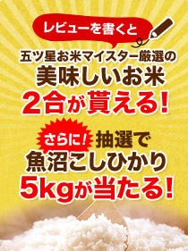 レビューを書くとプレゼントが当たる